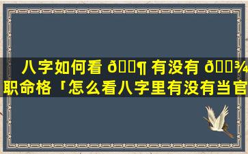 八字如何看 🐶 有没有 🌾 官职命格「怎么看八字里有没有当官的命」